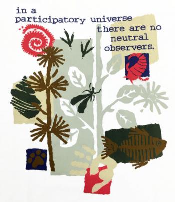 Image of Participatory Universe